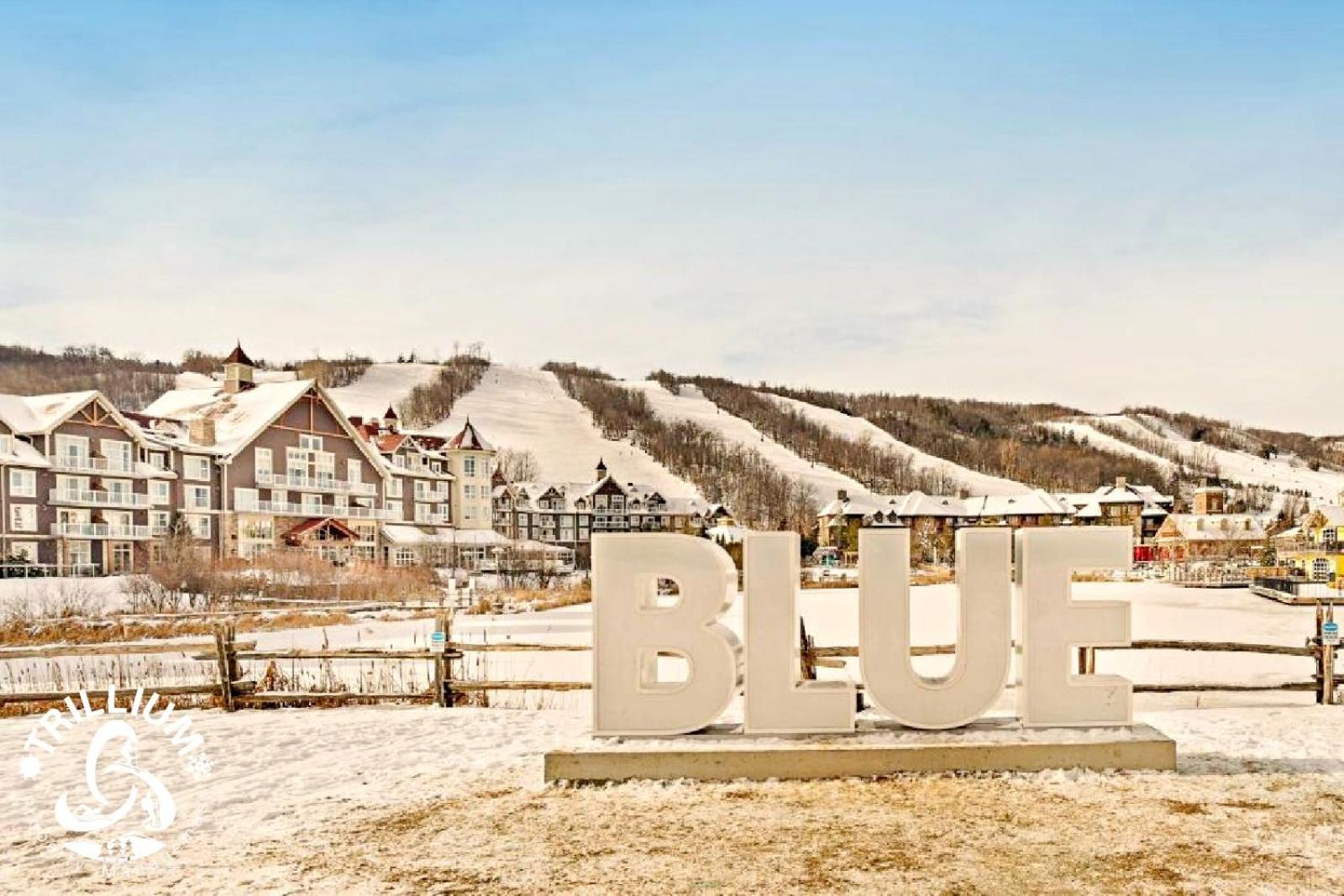 Blue Mountain, Collingwood - Loft Condo, Sleeps 4 블루마운틴 외부 사진